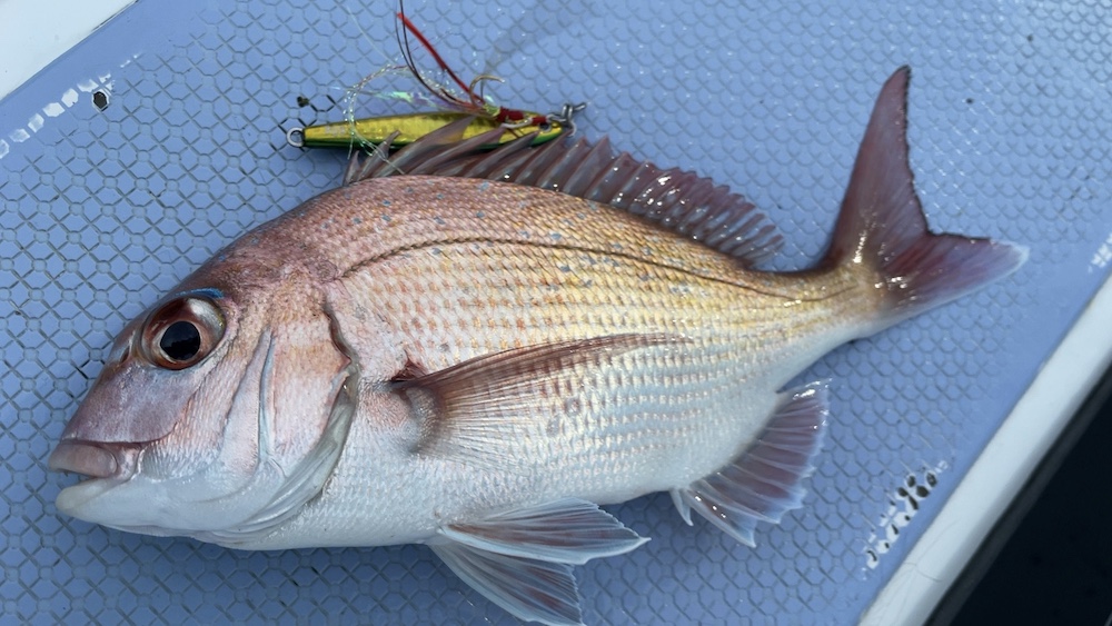 スレがかりで上がってきた