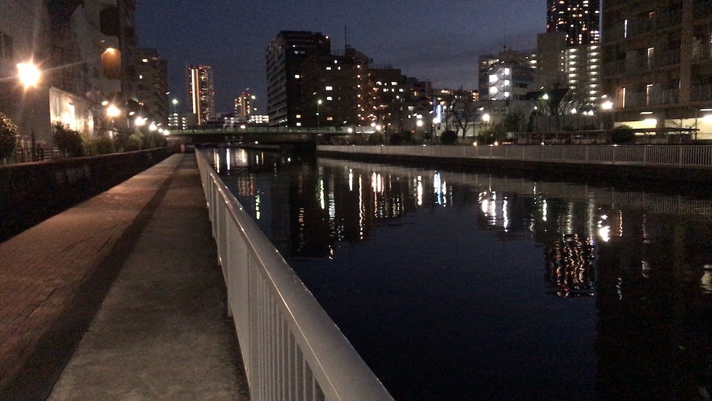東京湾奥運河筋1例