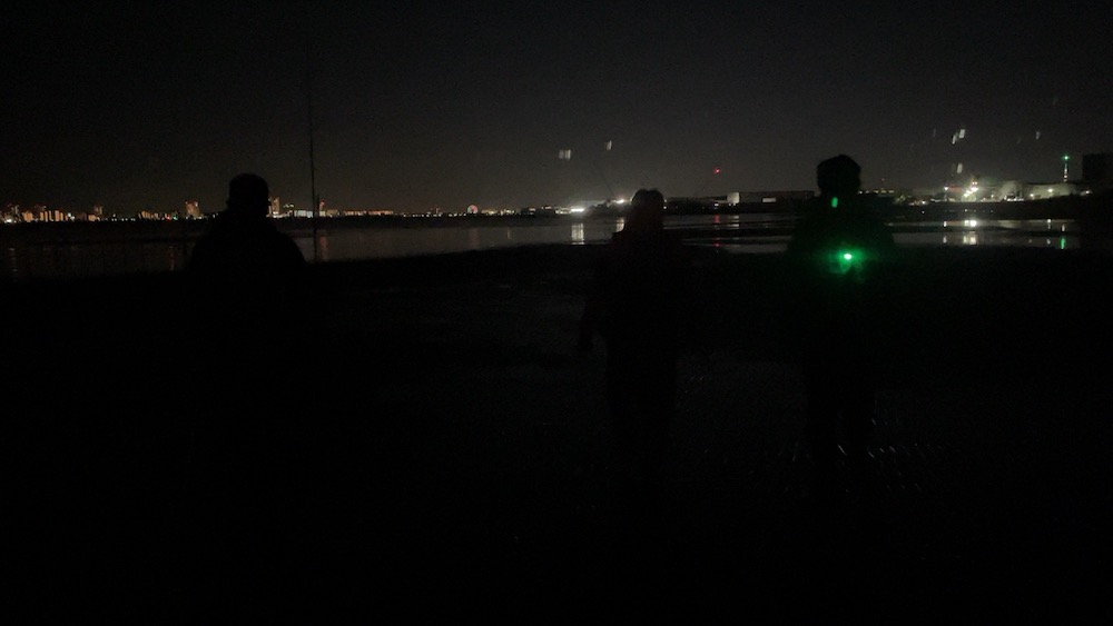 干潟ウェーディング