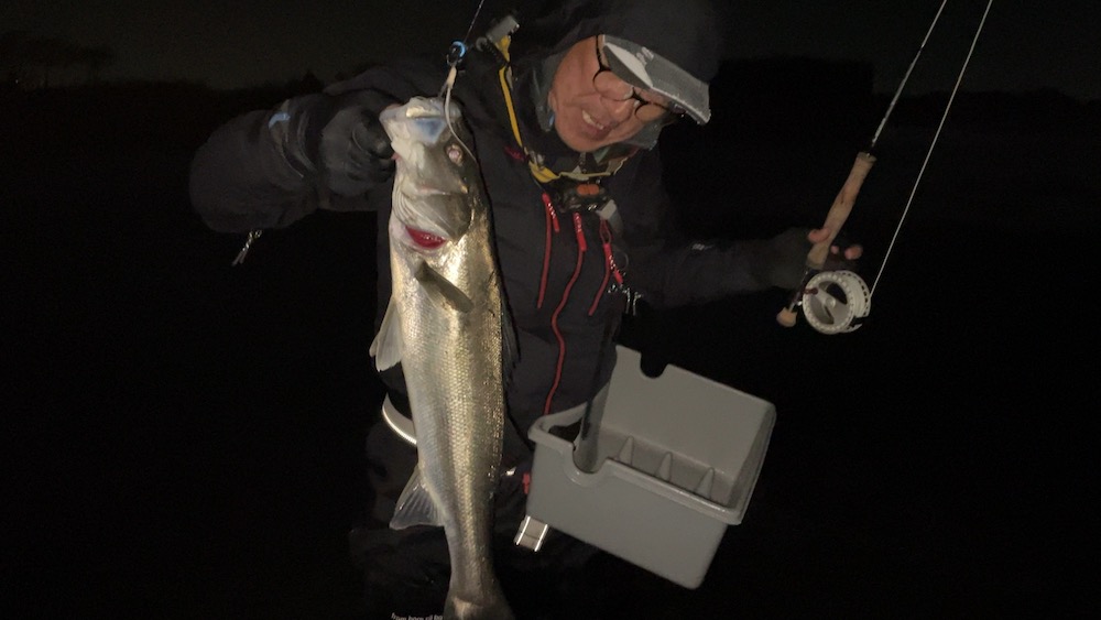 M木どんシーバスゲット