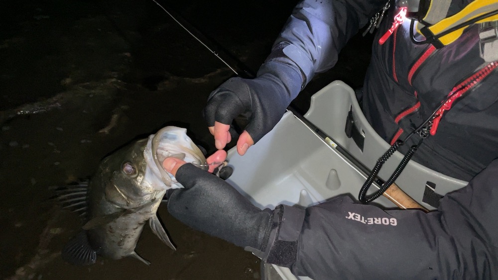 フライでシーバス