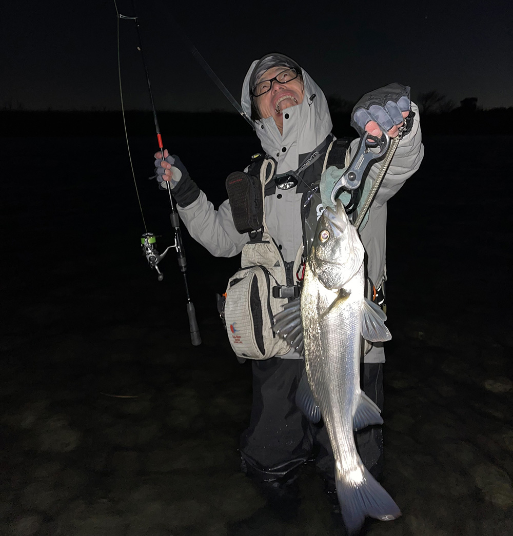 クリースで釣れたシーバス