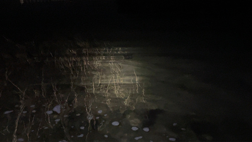 干潟河口で水面観察