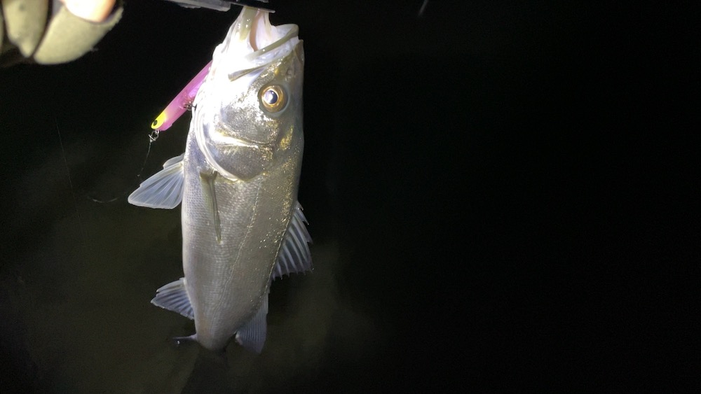 マニック95で追加