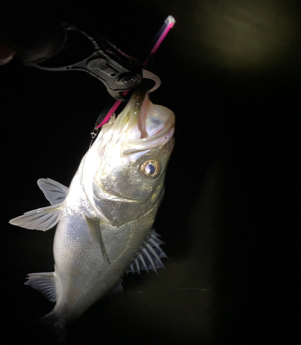 ノガレ120Fで追加