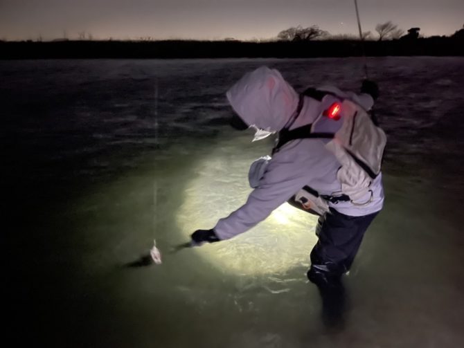 厳冬期の流下系ベイトパターンを狙う。干潟河口ウェーディングでシーバス攻略1月編