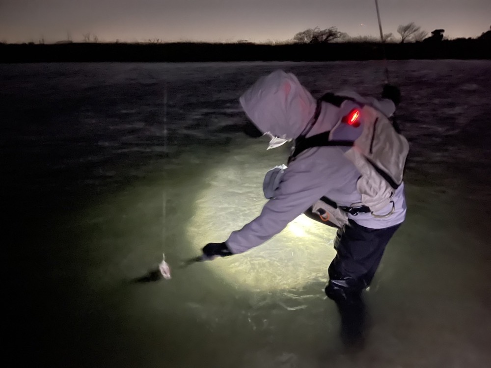 シーバスキャッチ