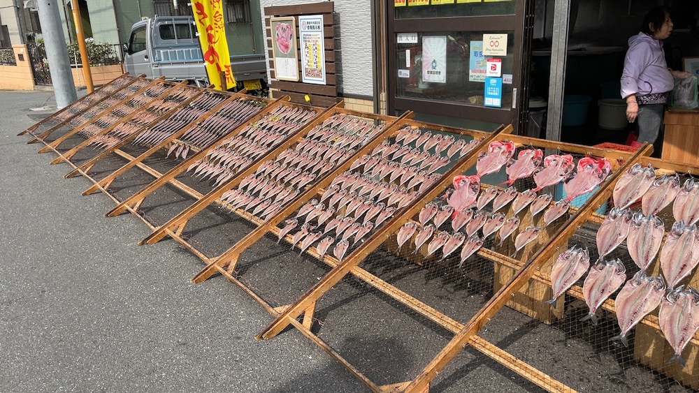 勝浦朝市干物