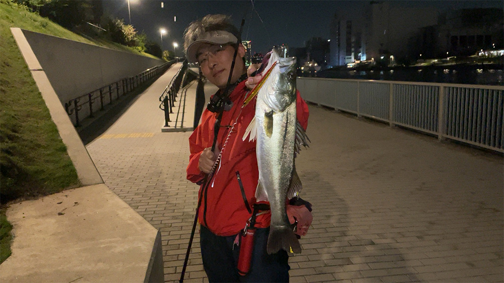前田さん運河での釣果