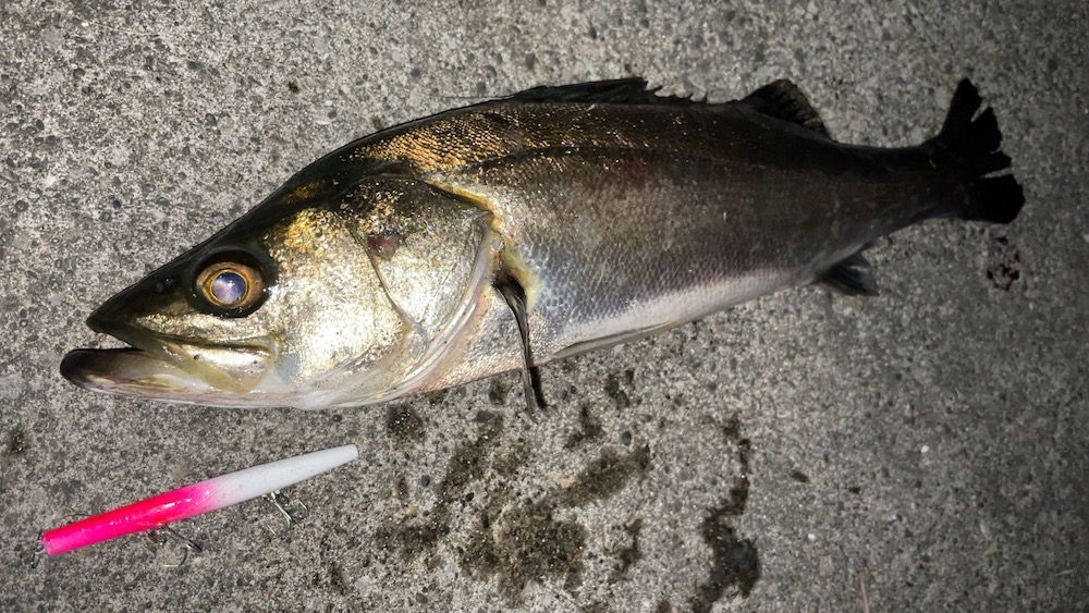 3Dプリンタールアー+シーバス