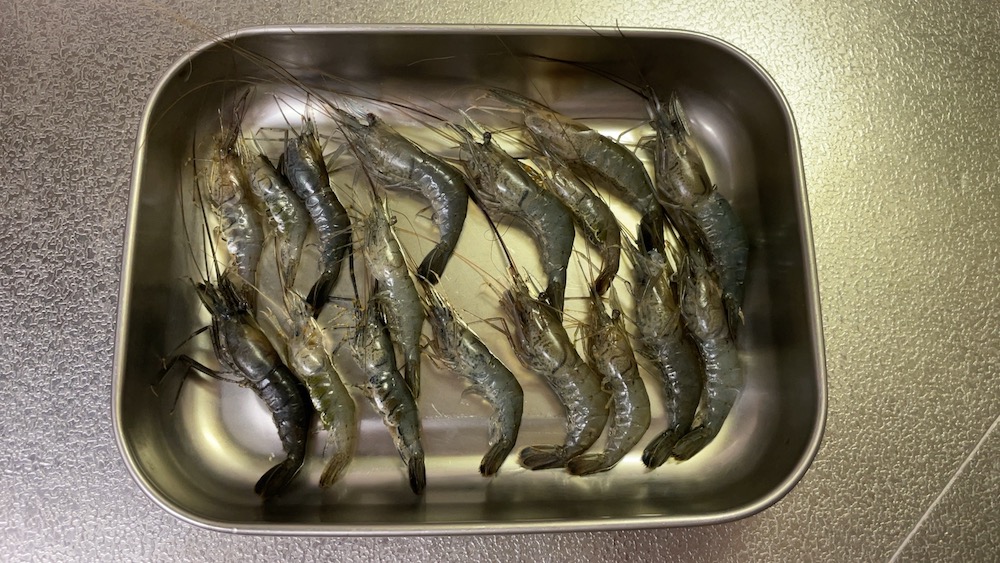 テナガエビを油で揚げる前