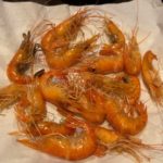 テナガエビ釣り。エサは生ハム、天秤やシモリウキ仕掛けで楽しい!