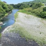多摩川上流青梅界隈へトラウトルアー釣りを試しに電車で行ってみた