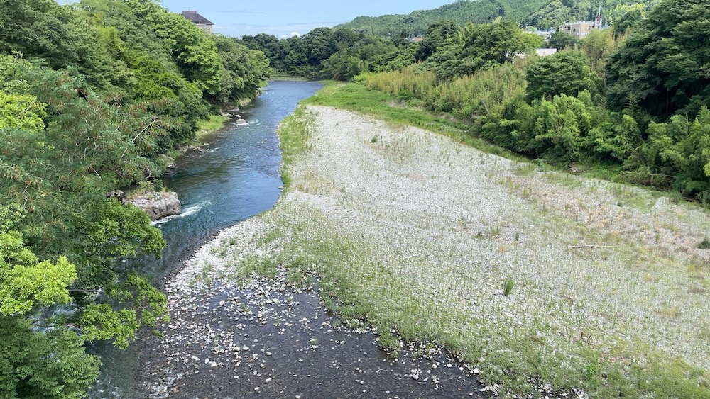 万年橋上から下流
