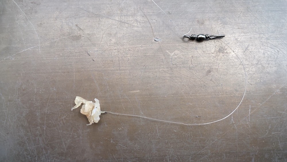 生ハムエサの付け具合