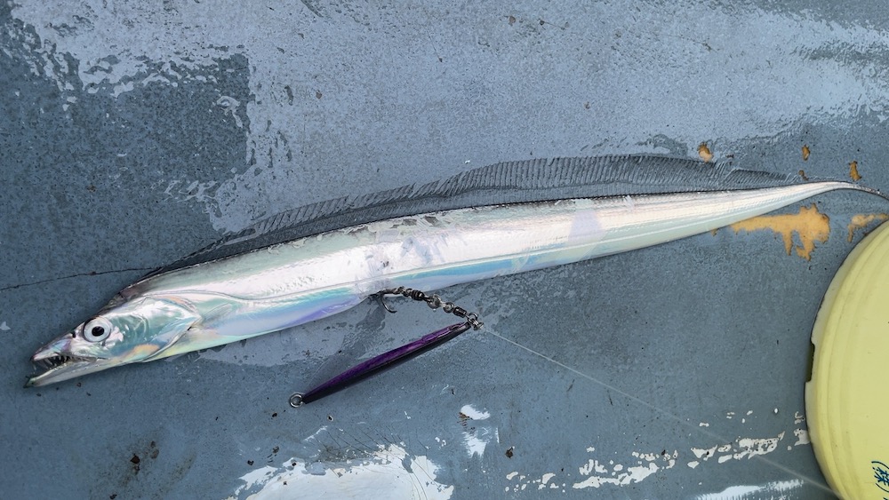 土手っ腹にフッキング…