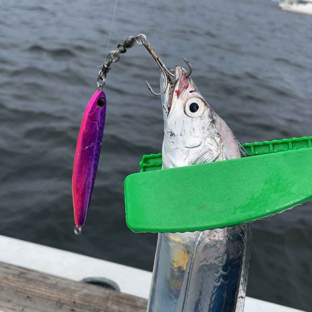 夏のタチウオジギングは浅場で数を稼いで深場で良型狙い | リアルフィッシングカウンシル