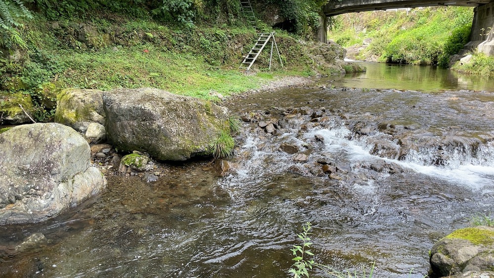 西野橋あたり