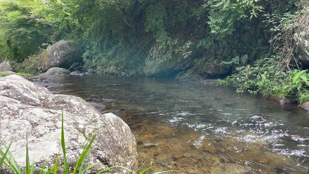 養沢川