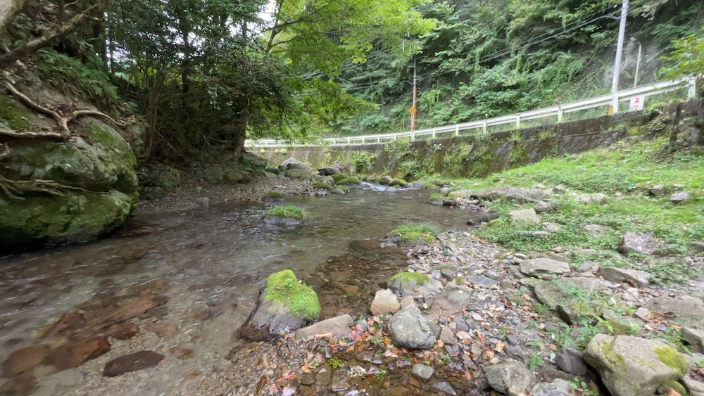 養沢川