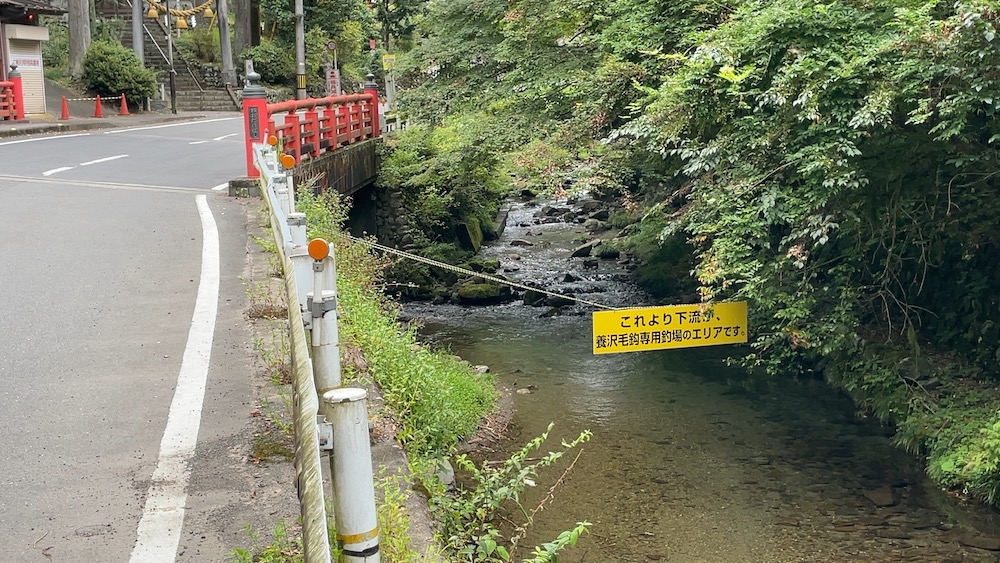 養沢川区間最上流