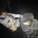 秋の干潟ウェーディングシーバス10月中旬編（盤洲・三番瀬）