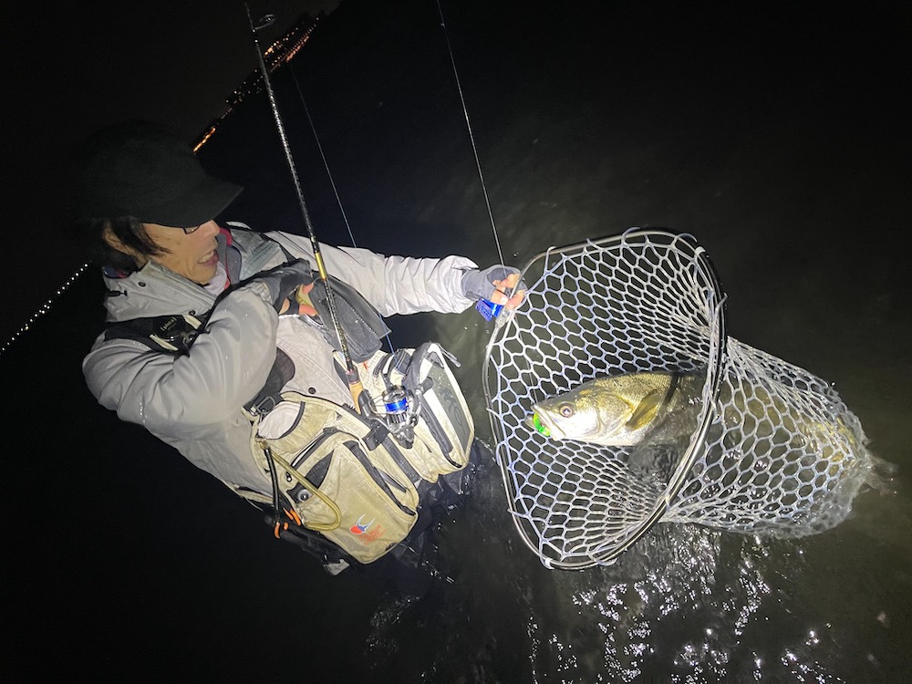 2022秋の干潟シーバス01