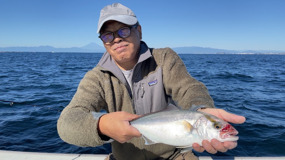 若さんカンパチゲット