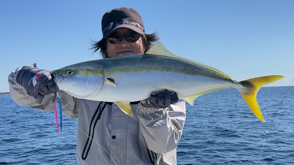 この日のワラサ