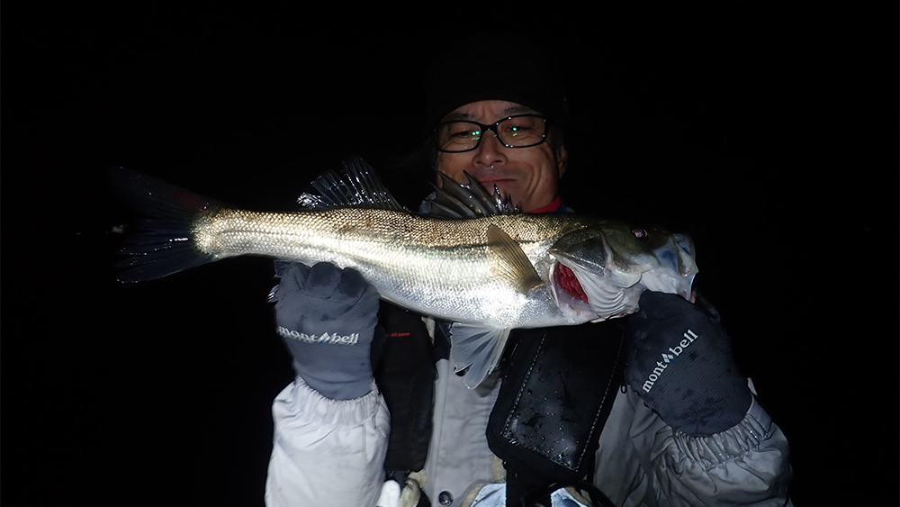 20221012三番瀬シーバス01