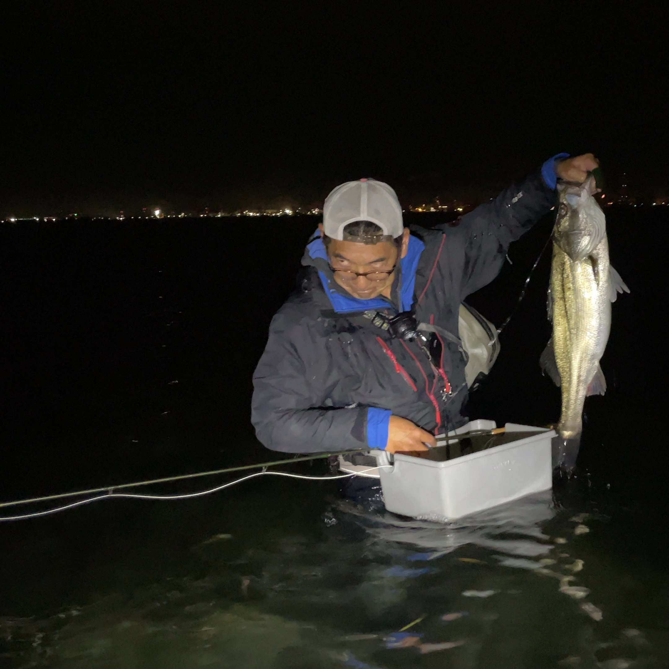 松木どんのシーバス01