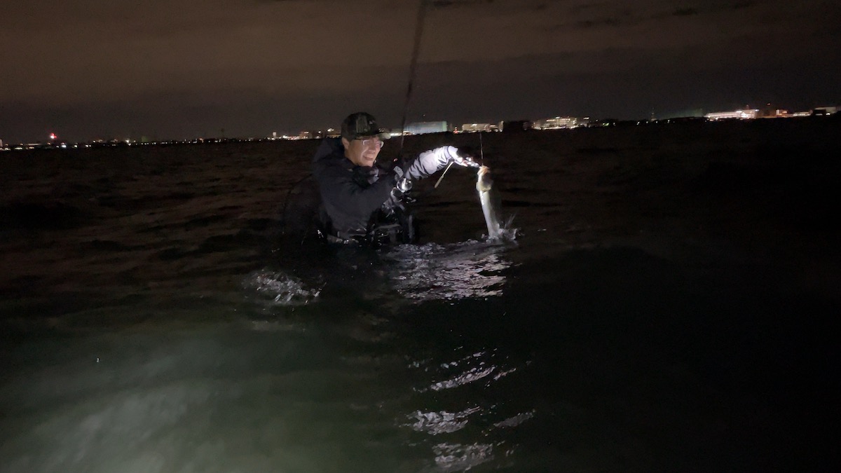 Nさん開始早々シーバスゲット