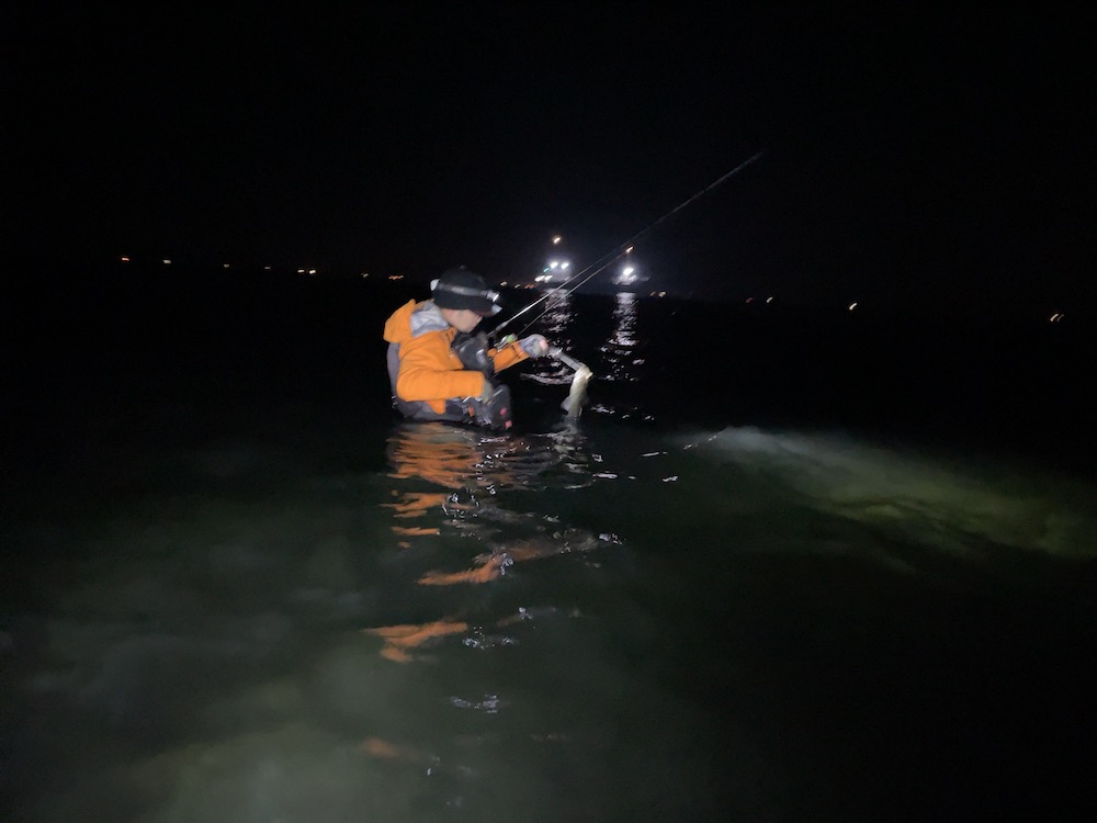 タッカミーさんシーバスキャッチ