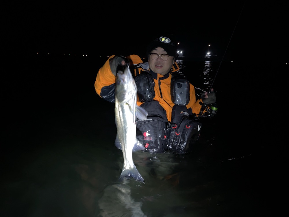 タッカミーさんシーバスゲット