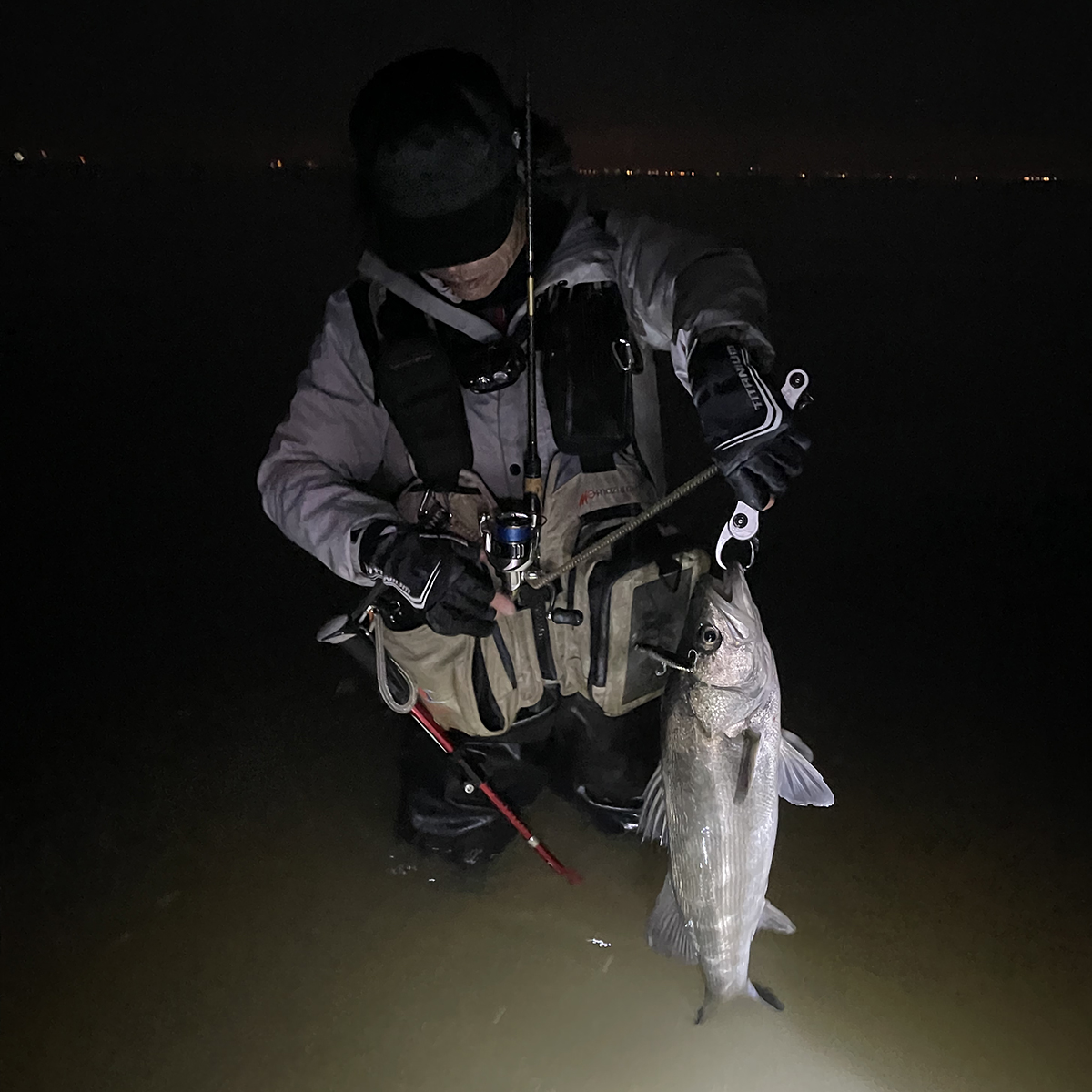 ヨイチ80でシーバス63cm