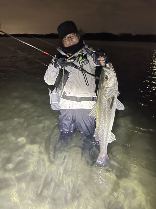 冬の干潟・河口ウェーディングシーバス1月2月編