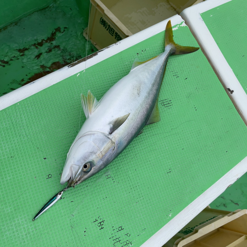 イナダ スキルジグ1oz