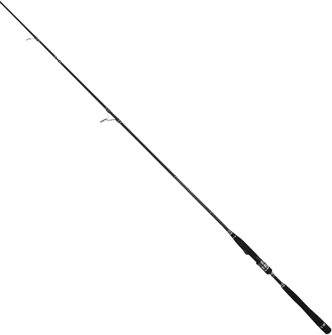 テイルウォーク(Tailwalk) ロッド HI-TIDE ハイタイド SSD