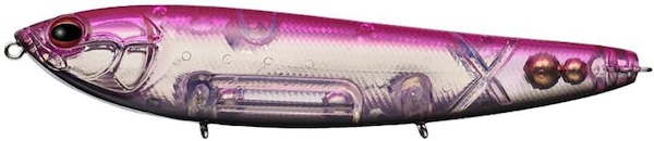 アマゾンペンシル