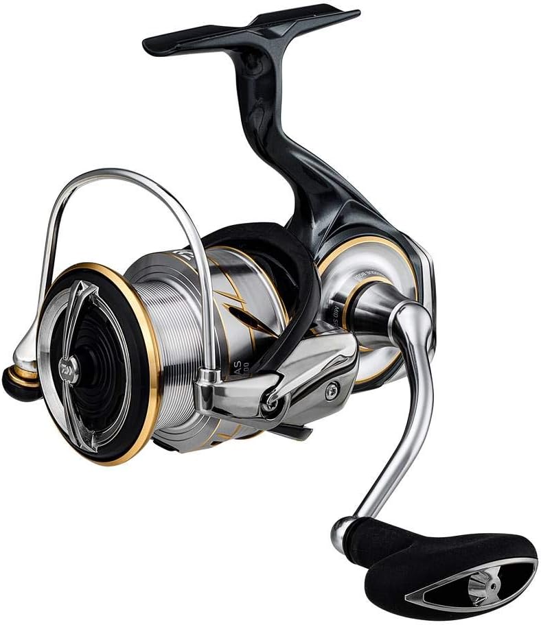 ダイワ(DAIWA) 20 ルビアス LT