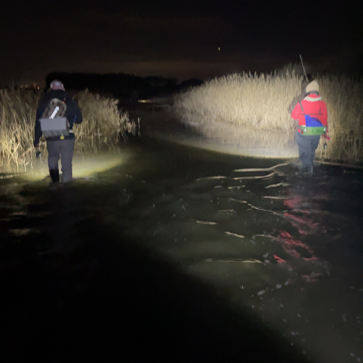 クリークを進んでいく