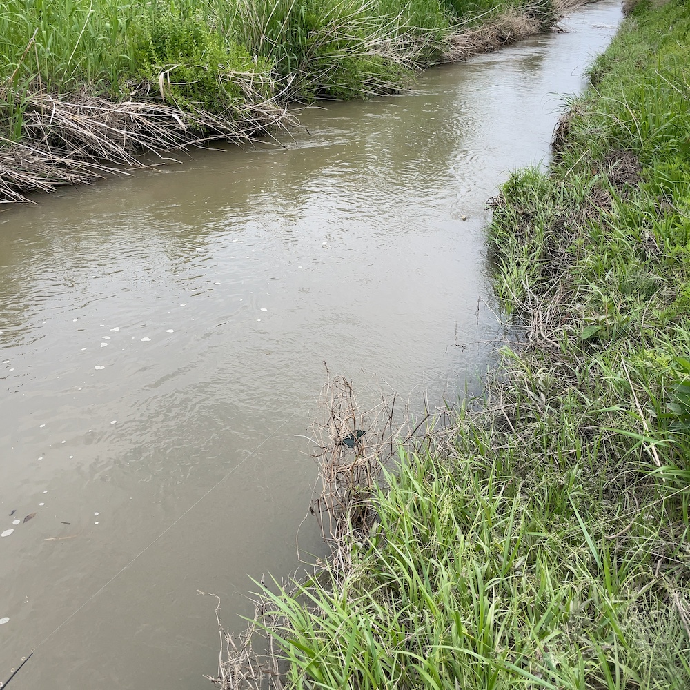 ジッターバグの動き