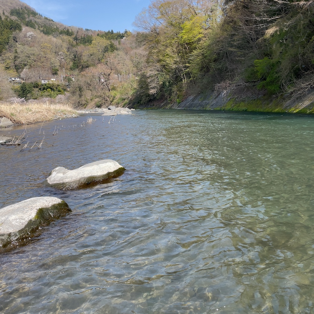 やっと辿り着いたポイント