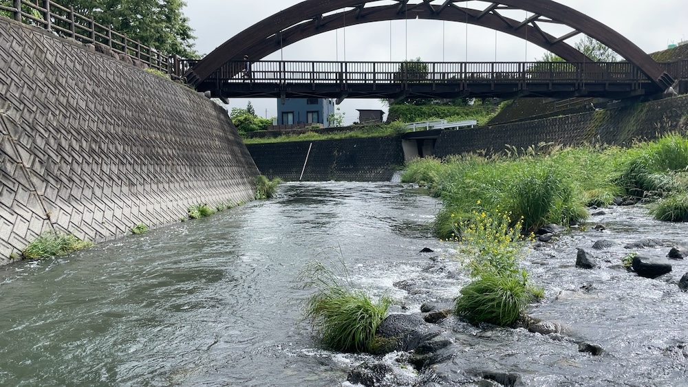 きれいになった桂川