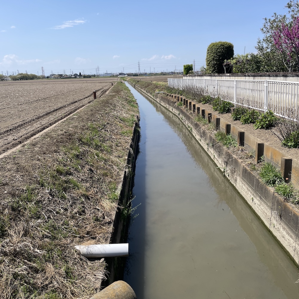4月の水路01