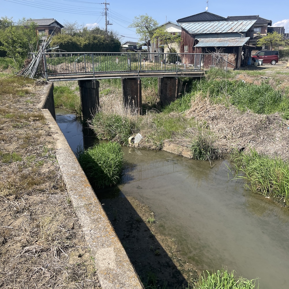 4月の水路03